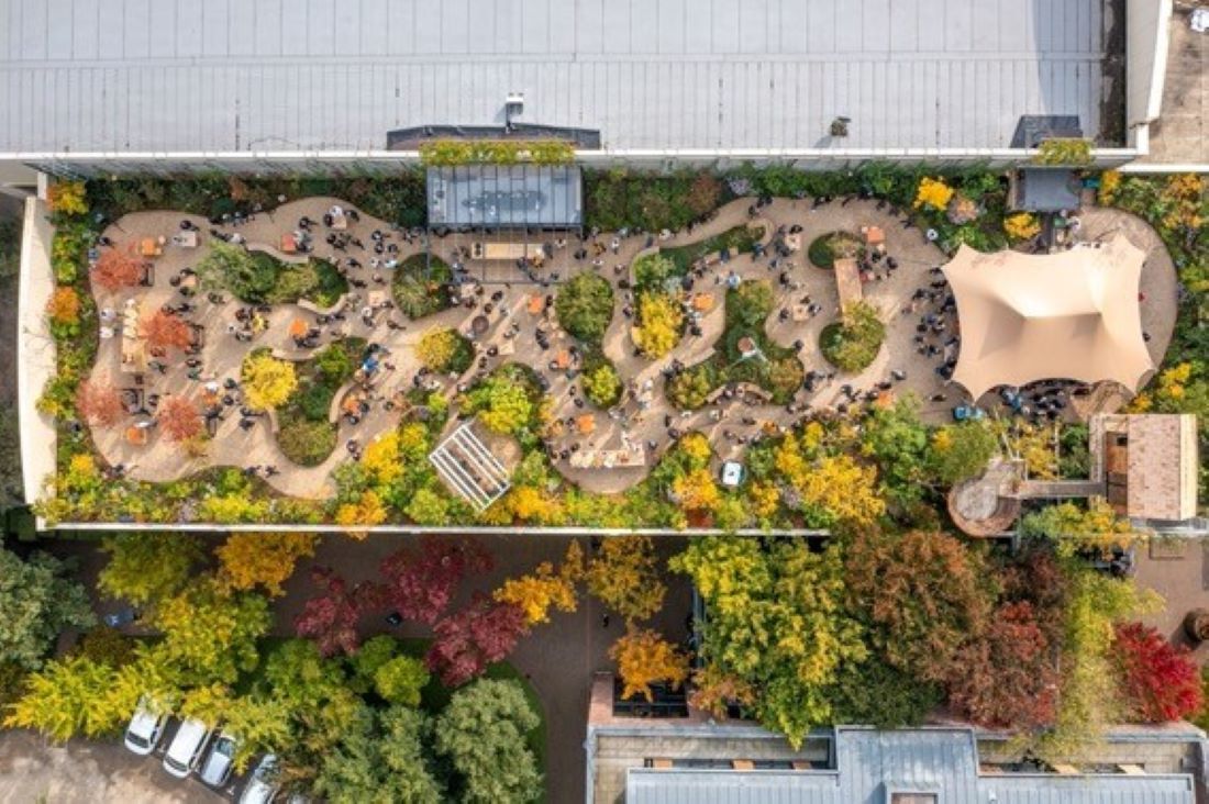 Jungle-achtige daktuin Inspyrium wint Rooftop Award