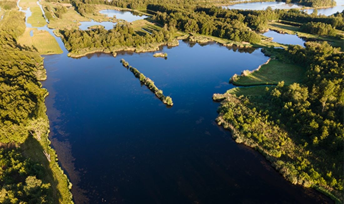 Provincie stap in het realiseren van de Natura 2000-doelen in de Oostelijke Vechtplasse
