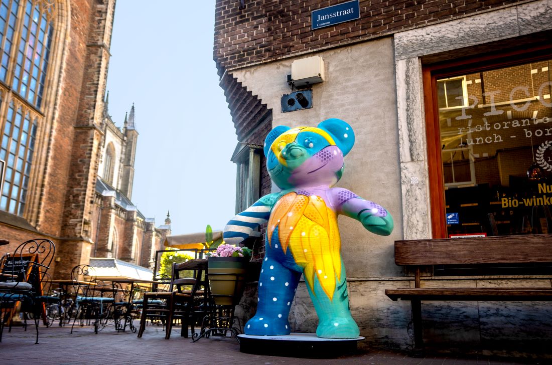 robijn haarlem verstening gezellig