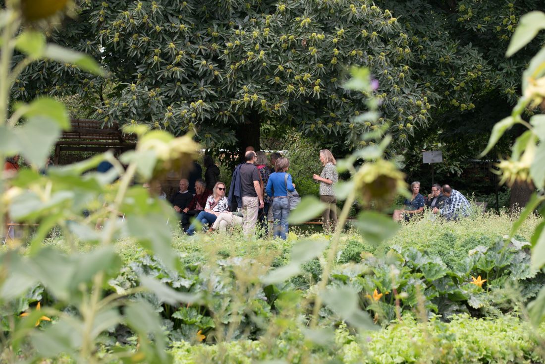 Culinair boeren boeren tuinders