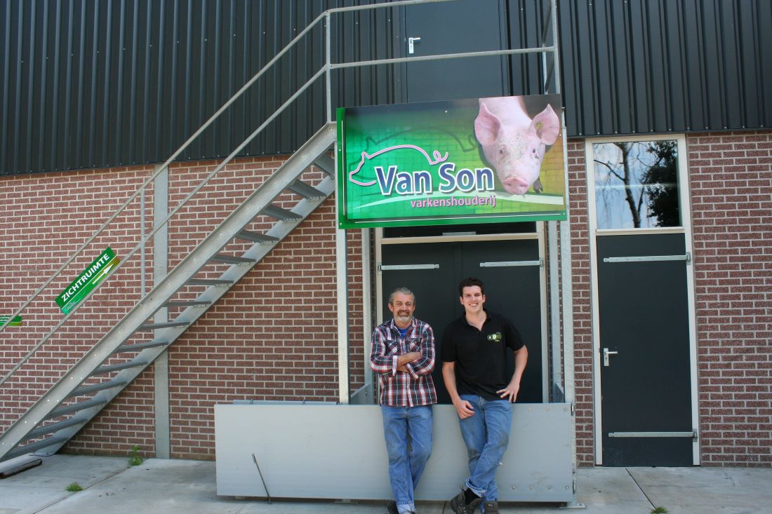 Varkens kijken in Valkenswaard