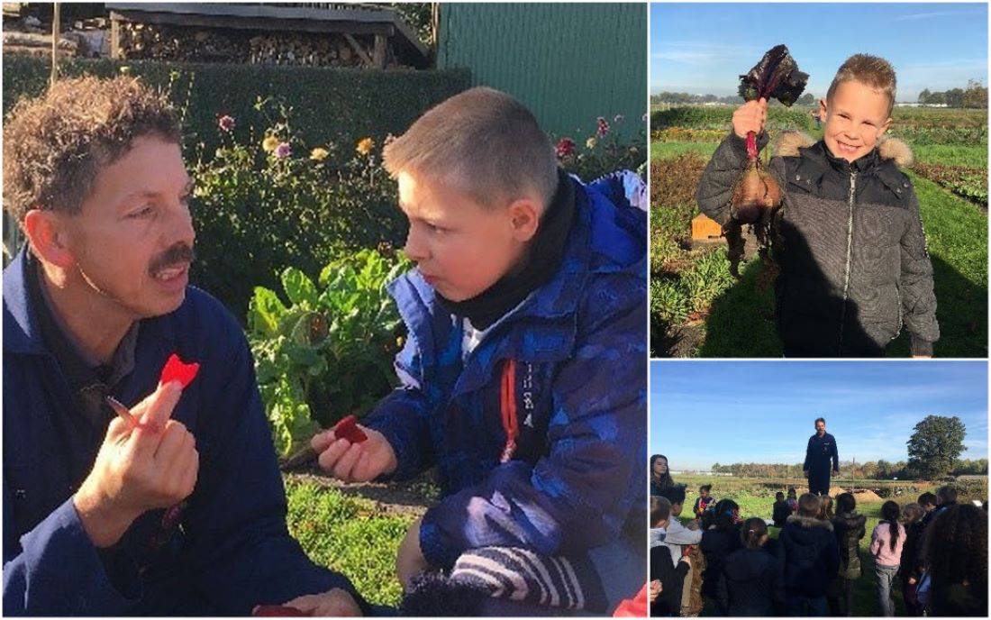 Week Klasseboer leren voedsel