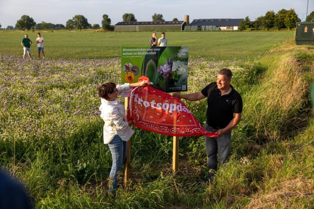 Bloemenstroken slaan brug tussen boer en burger in Oss