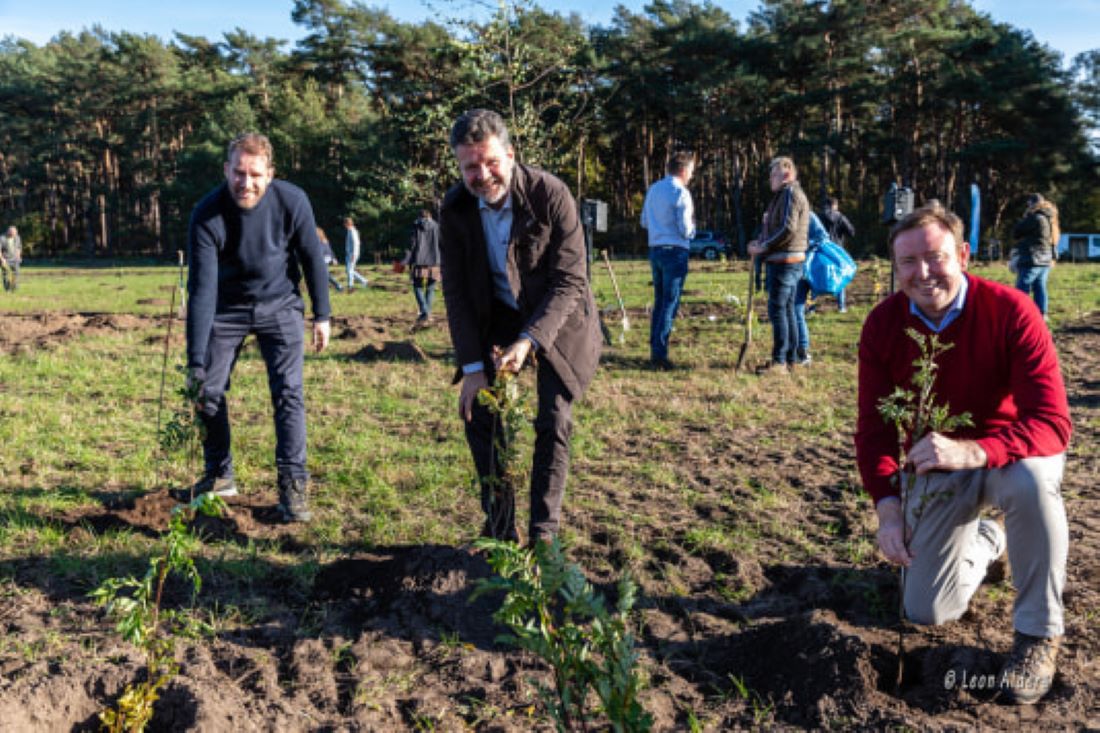 Werknemers Ordina planten 25.000 bomen