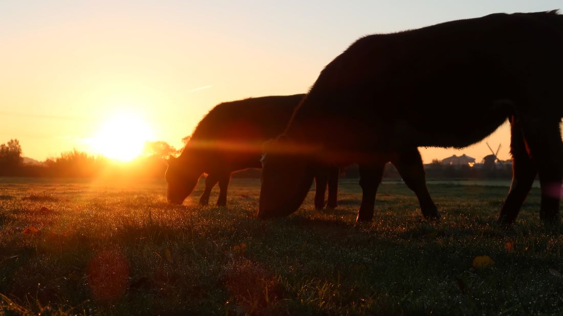 Versterkt inzetten op duurzame gronduitgifte
