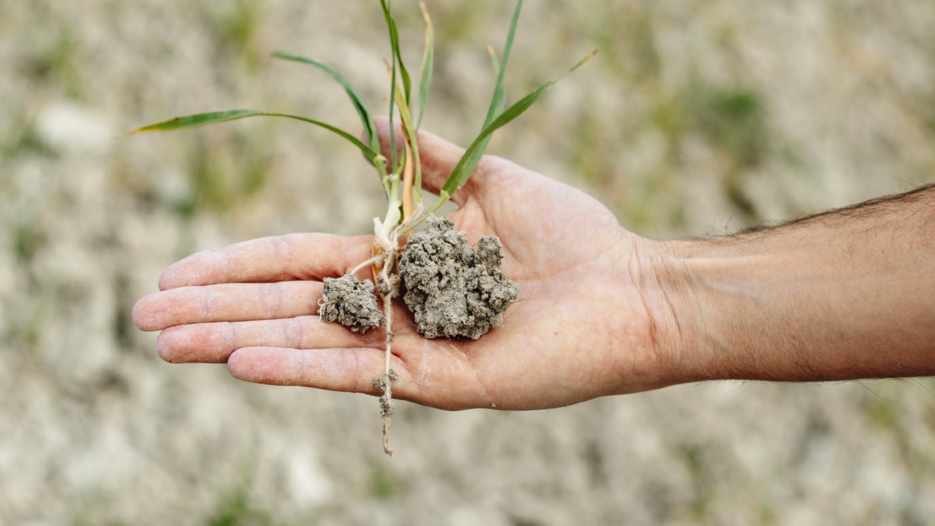 Zuiden en oosten extra gevoelig voor droogte door zandgronden en hoge ligging