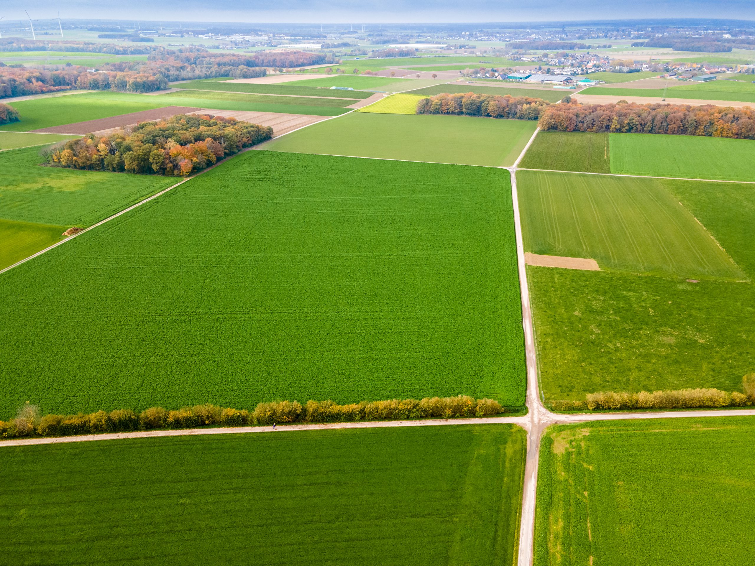 GLB-subsidieregelingen voor innovaties en kennisoverdracht