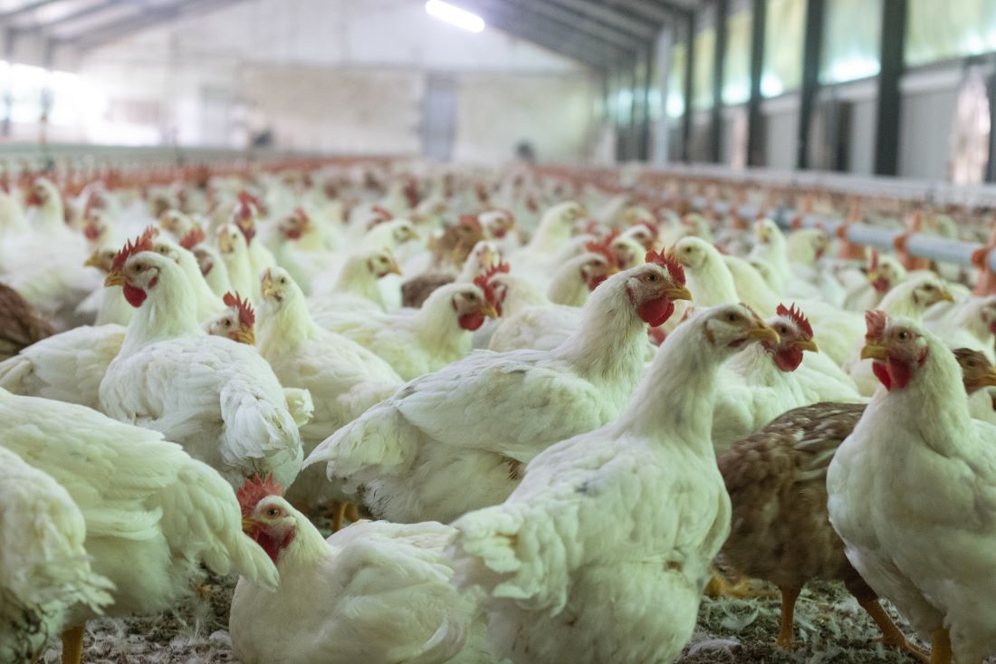 Subsidieregeling Beter Leven Keurmerk