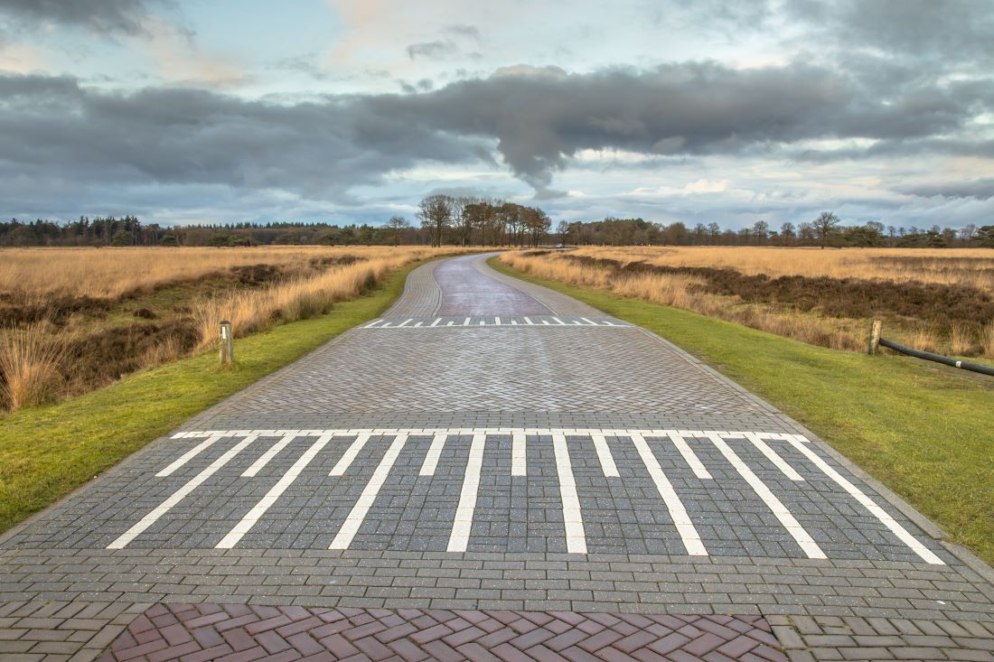 Plaatsen drempels rotondes Bunschoten