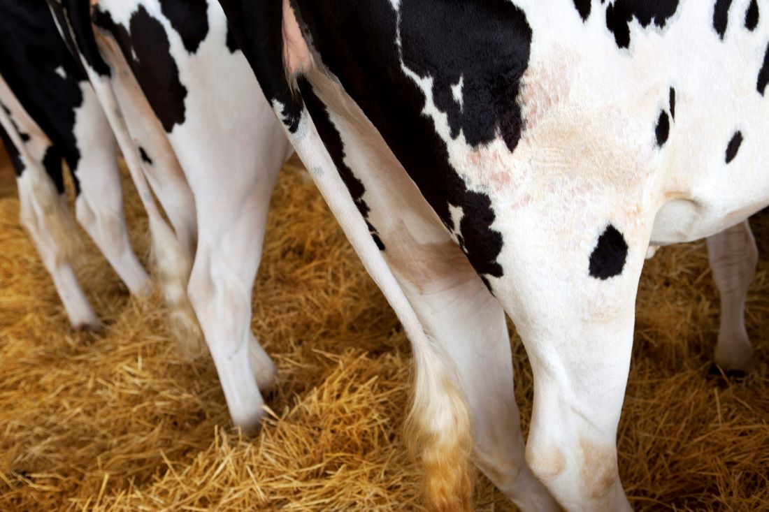 Boeren en tuinders Gelderland