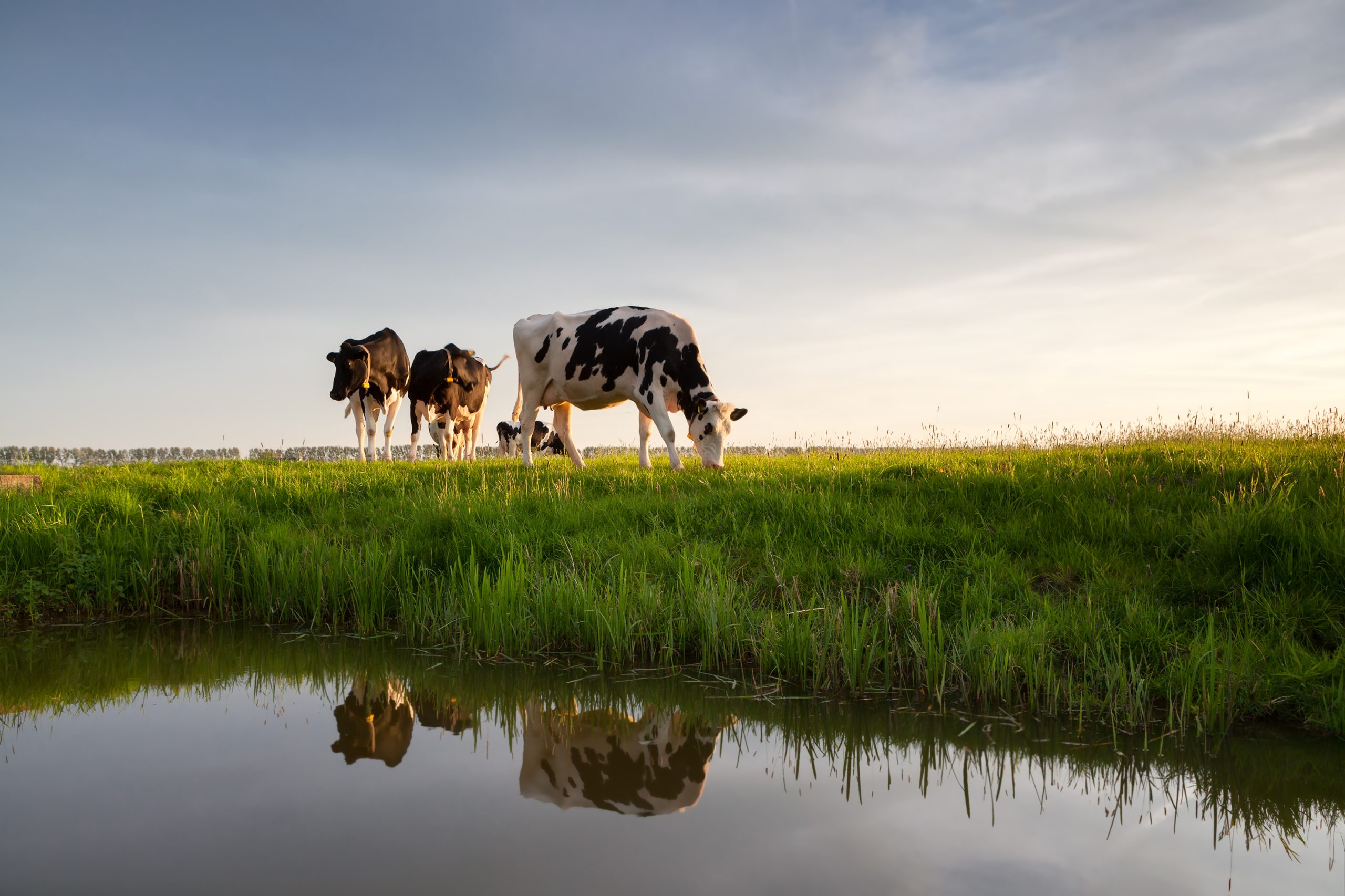 143 agrariërs doen mee aan Utrechtse Monitor Duurzame Landbouw