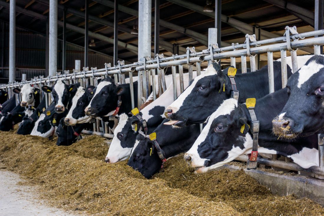 Aanpak piekbelasting in Noord-Brabant