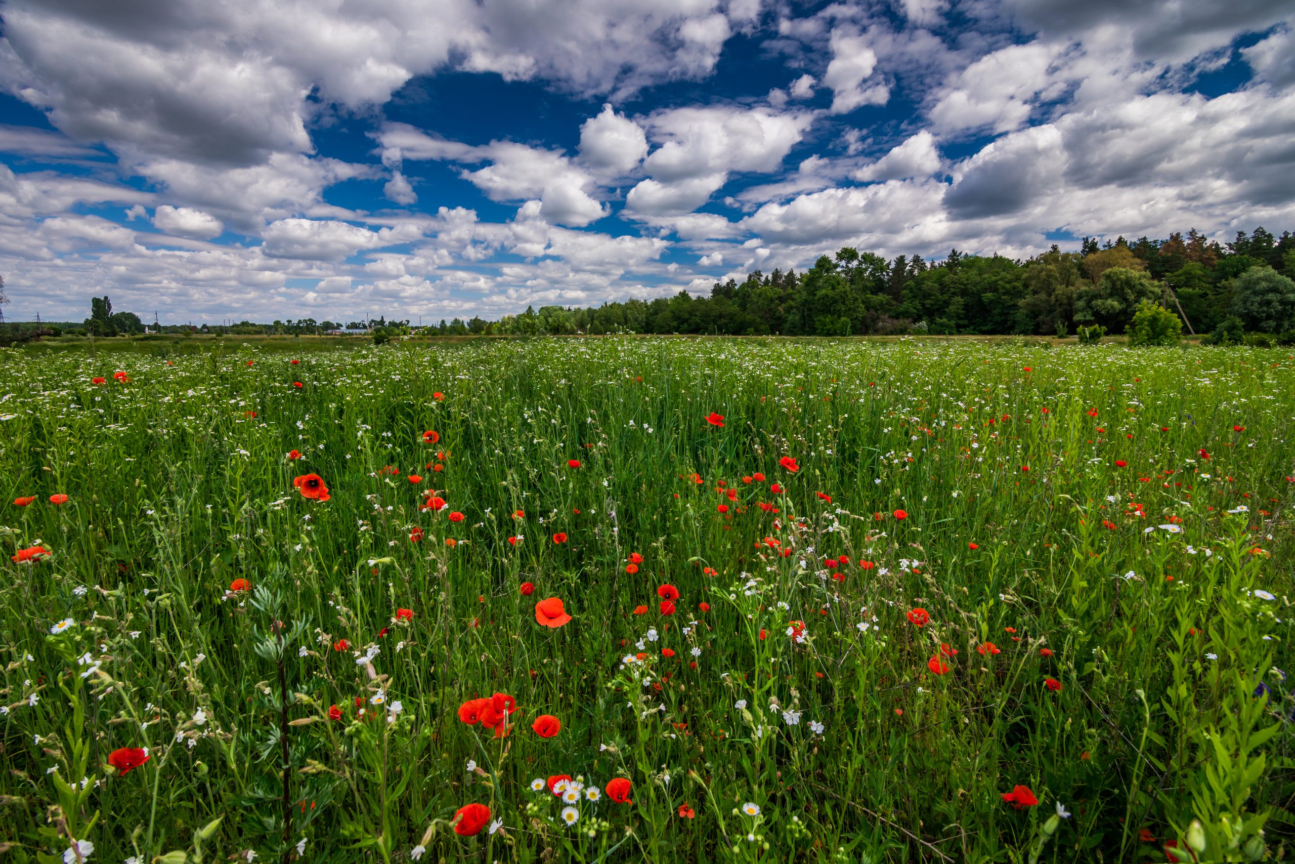 Subsidie biodiversiteit en waterkwaliteit op landbouwgronden