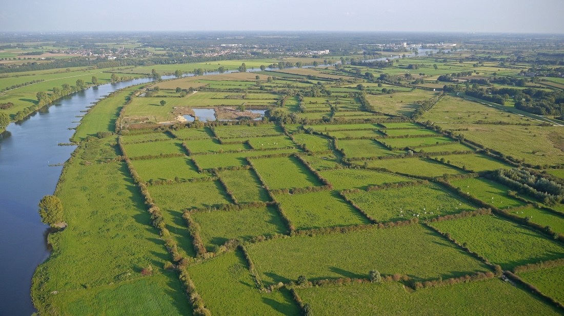 Provincie stelt stikstofdoelen per Natura 2000-gebied
