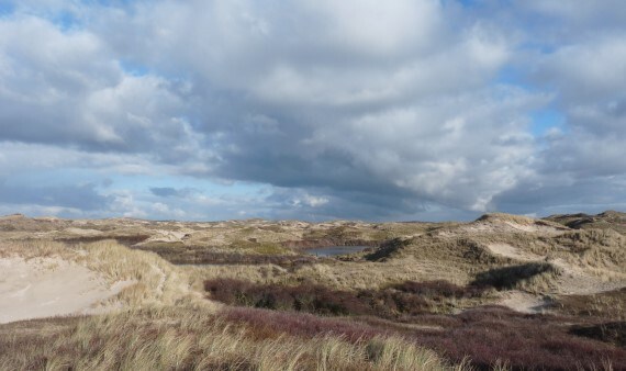 stikstof webinar 9 februari Noord-Holland