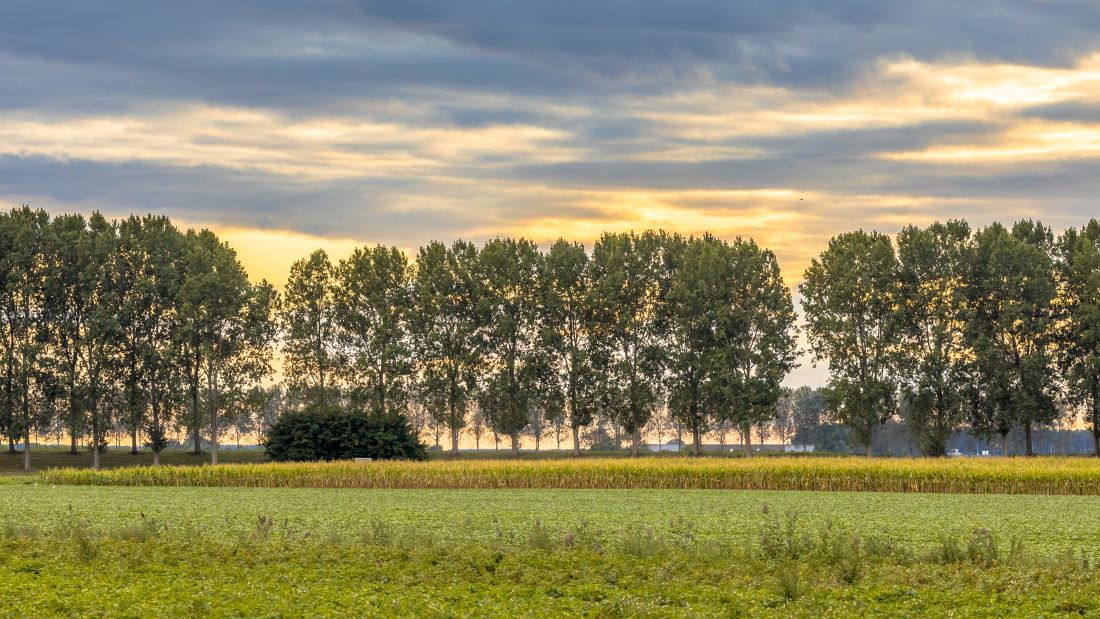 Uitvoering Proeftuin Elsendorp start