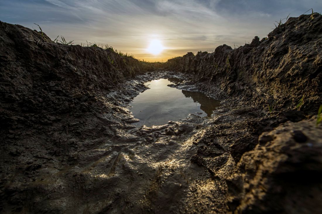 Subsidie voor regelbare drainage