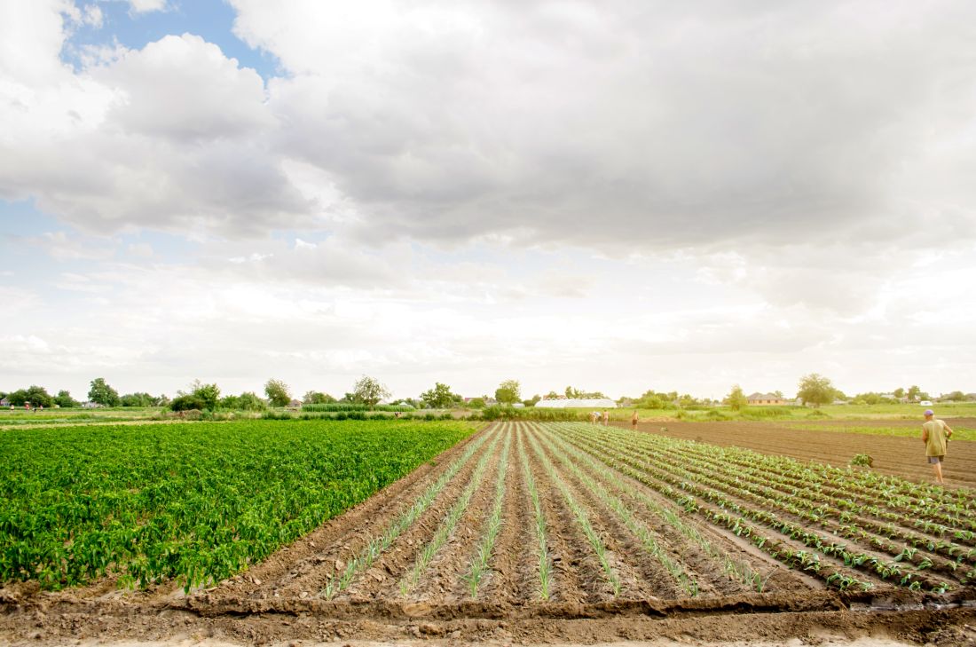 Aanvragen subsidie ‘Klimaatslim Boeren Groene Hart provincie Noord-Holland’ mogelijk