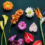 Wereldtop van bloemisten strijkt neer in Den Haag voor de World Cup Floral Art 2025