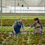 Subsidies voor innovatie en kennisdeling in Zeeuwse landbouw