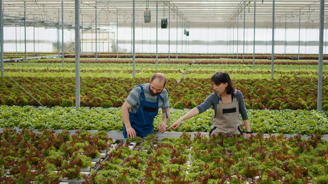 Subsidies voor innovatie en kennisdeling in Zeeuwse landbouw