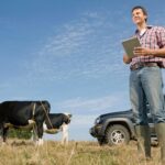 Subsidieregeling Gebiedsgerichte Beëindiging Veehouderijlocaties open voor vooraanmeldingen