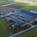 Melkveehouder investeert in batterijopslag