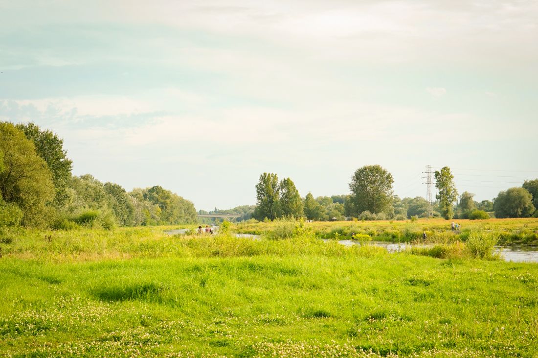 Update Natuurbeheerplan Brabant