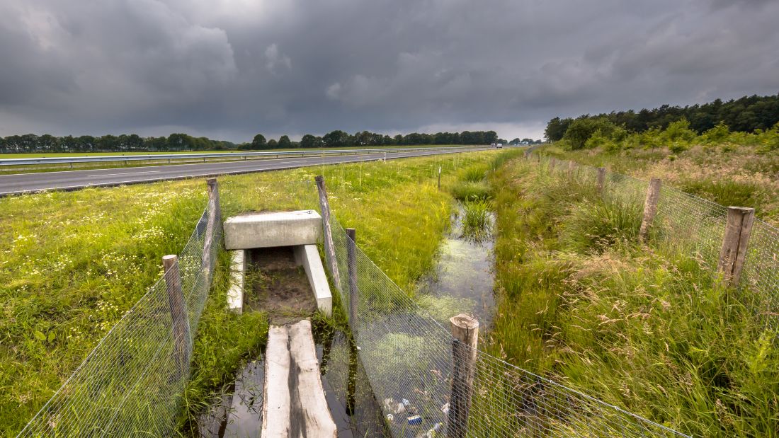 €5M voor wateroverlast Limburg
