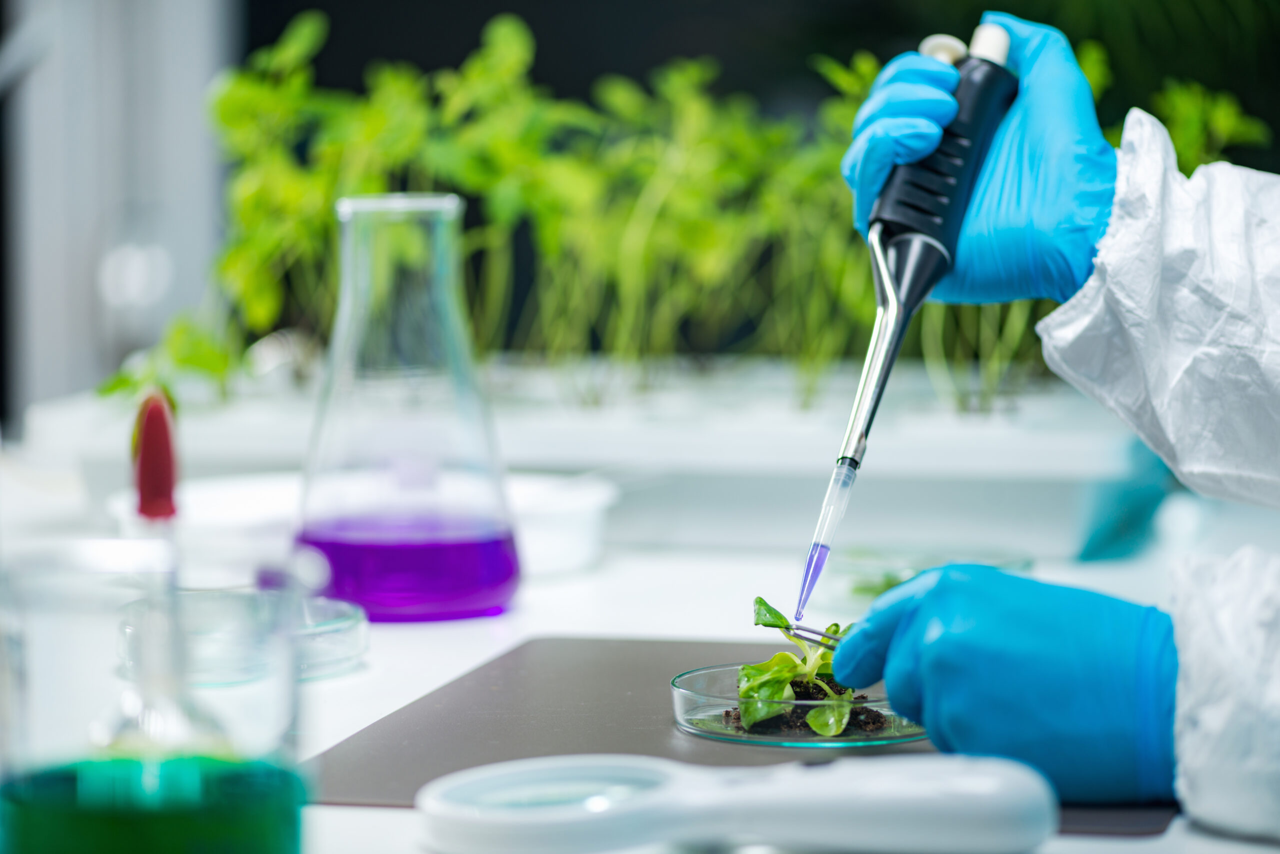 Galapagos transformeert strategie na afbouw celtherapie