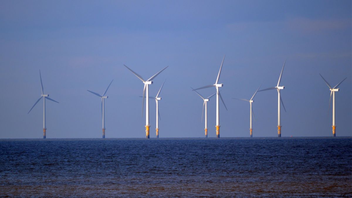 Zeeland krijgt 49 miljoen voor windpark compensatie projecten