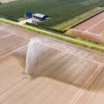 Waterschappen roepen tuineigenaren op tot wateropvang bij droogte