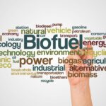 WijBusinessNieuws_Schroders Greencoat neemt biomethaan-producent APF Energy over