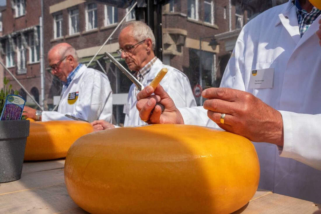 Zes kazen strijden om titel lekkerste van Nederland in Gouda