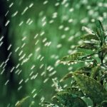 Neerslagtekort stijgt naar 190 mm door aanhoudende droogte