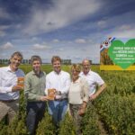 Jumbo vervangt geïmporteerde quinoa door Nederlands biologisch alternatief