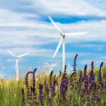 Ontwikkeling wind- en zonne-energie stagneert door gebrek aan ruimte