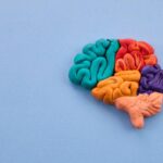 Perplexity lanceert Brain: AI-geheugen voor ondernemers