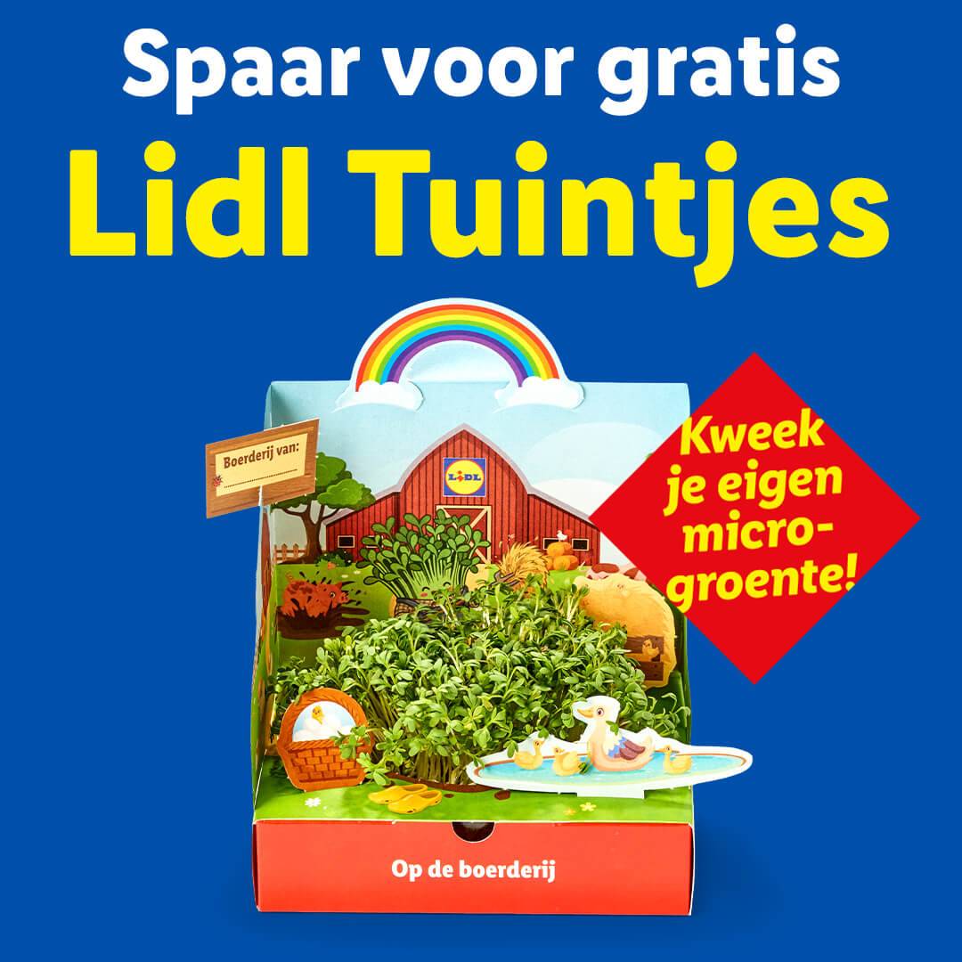 Lidl start spaaractie voor kinderen met microgroente kweeksets