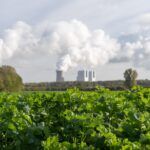 Noord-Holland krijgt 60 miljoen voor natuur en stikstofaanpak