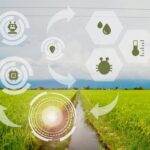 Provincie Groningen stelt miljoen euro beschikbaar voor landbouwinnovatie