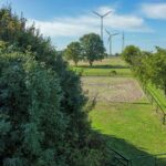 WijBusinessNieuws_Waarom paardenhouderijen enmaneges investeren in een veiligerebakomheining, en wat het kost