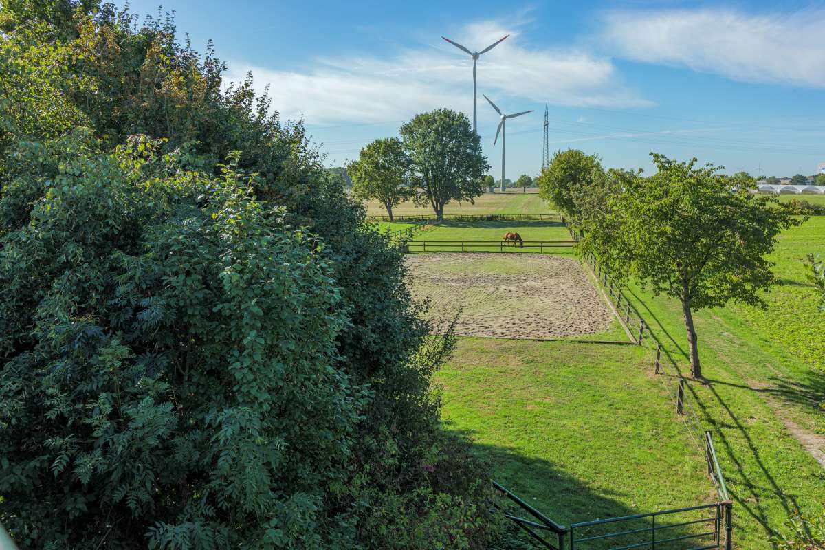 WijBusinessNieuws_Waarom paardenhouderijen enmaneges investeren in een veiligerebakomheining, en wat het kost