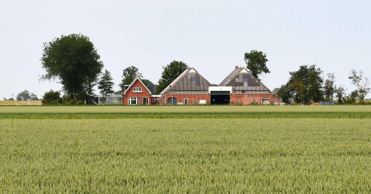 Digitale gereedschapskist helpt Groninger boeren bij verduurzaming