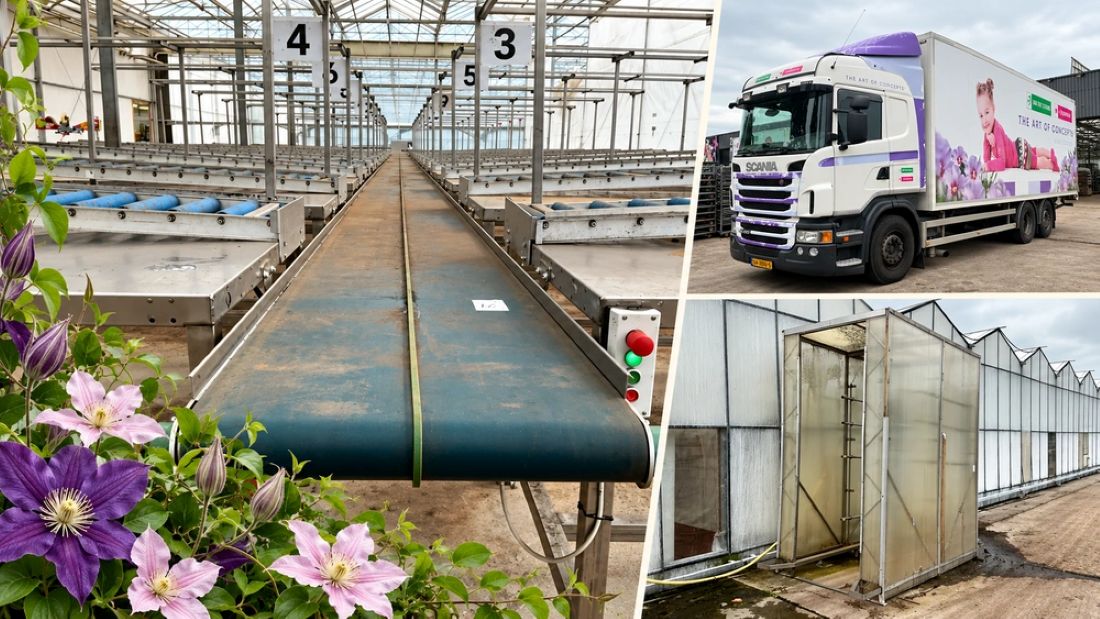 Klimplantenkweker Van der Starre stopt: machines geveild