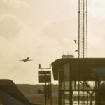 Vogelaanvaringen Schiphol: extra maatregelen na twee ganzenincidenten