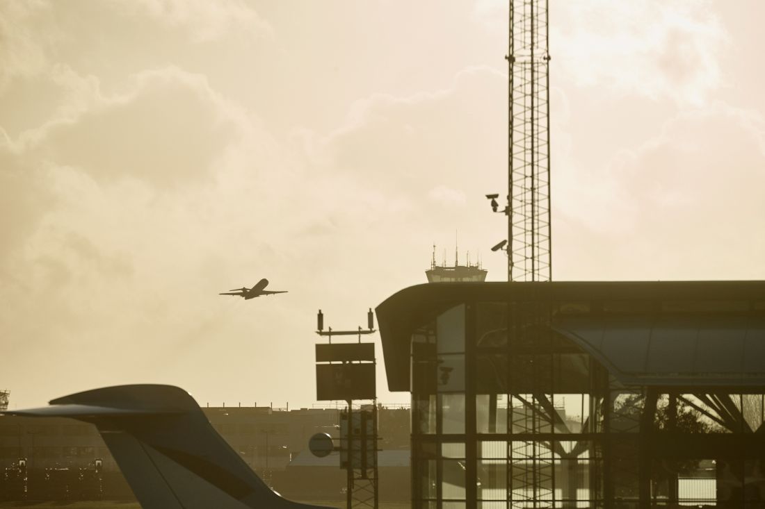 Vogelaanvaringen Schiphol: extra maatregelen na twee ganzenincidenten