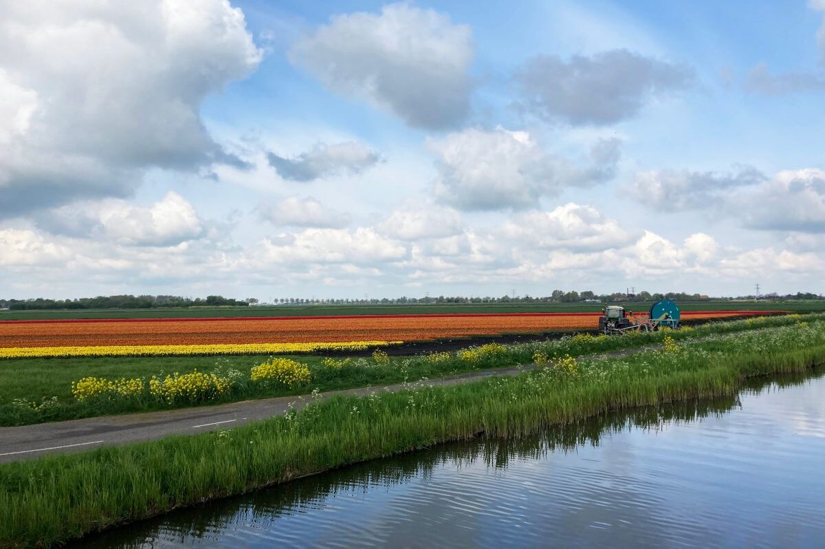 Noord-Holland past ruimteregels aan: nieuwe Omgevingsverordening in 2027